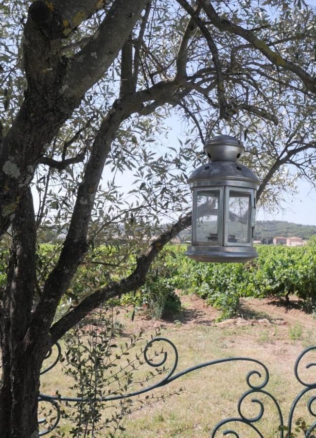 Готель Maison D'Hotes Le Mas Des Vignes Rochegude  Екстер'єр фото