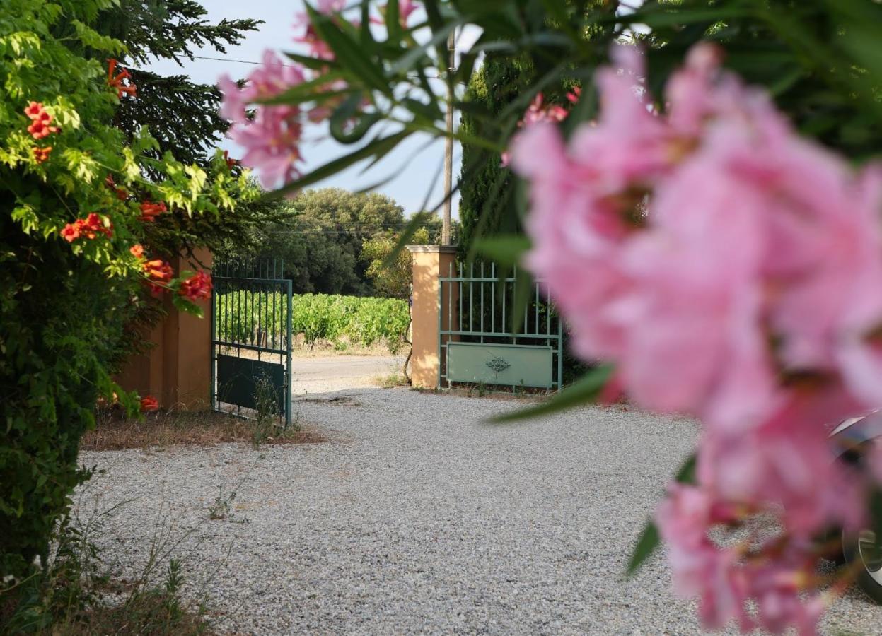 Готель Maison D'Hotes Le Mas Des Vignes Rochegude  Екстер'єр фото