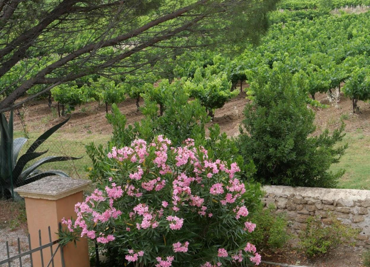 Готель Maison D'Hotes Le Mas Des Vignes Rochegude  Екстер'єр фото