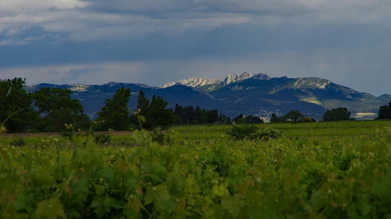 Готель Maison D'Hotes Le Mas Des Vignes Rochegude  Екстер'єр фото